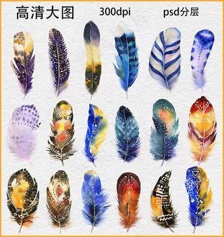 水彩羽毛