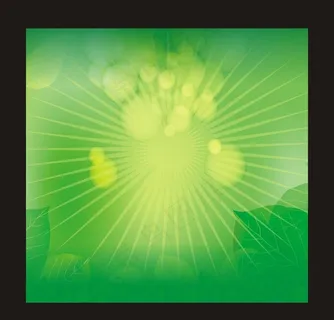 绿色 背景 树叶