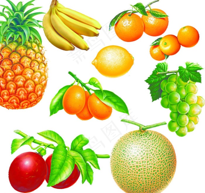 水果 高清图片