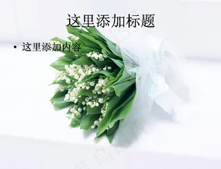 洁白纯净的花朵(3)