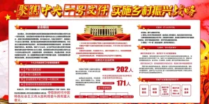 聚焦*一号文件实施乡村振兴战略展...