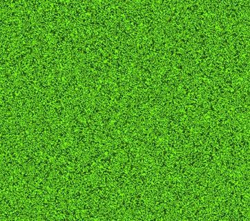 绿草的设计元素矢量图03