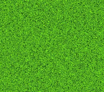 绿草的设计元素矢量图03 绿草的设计元素矢量图03