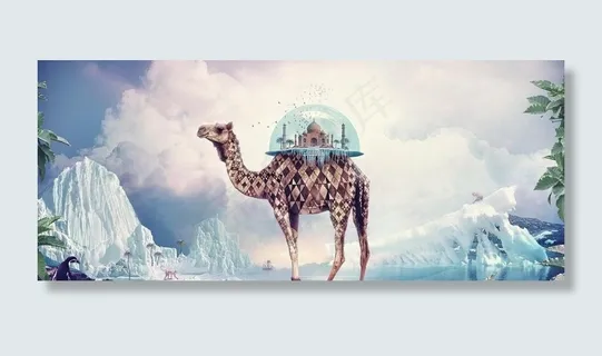 骆驼图片