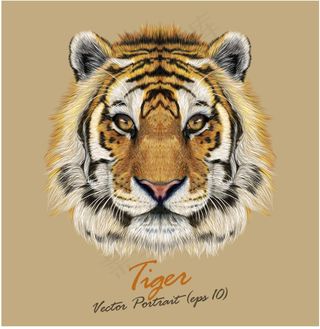 逼真的老虎艺术背景矢量素材