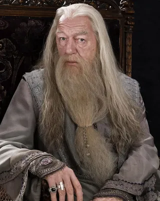 哈利·波特与混血王子 定...