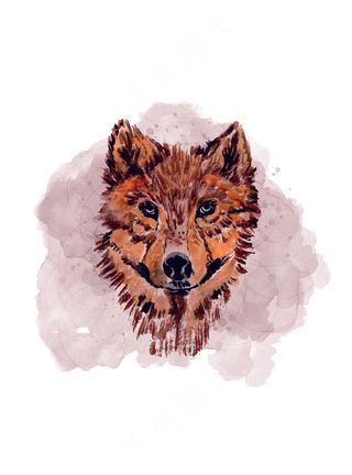 手绘水彩动物逼真头像