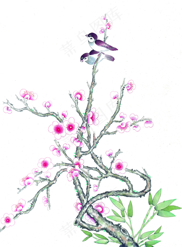 树枝花鸟