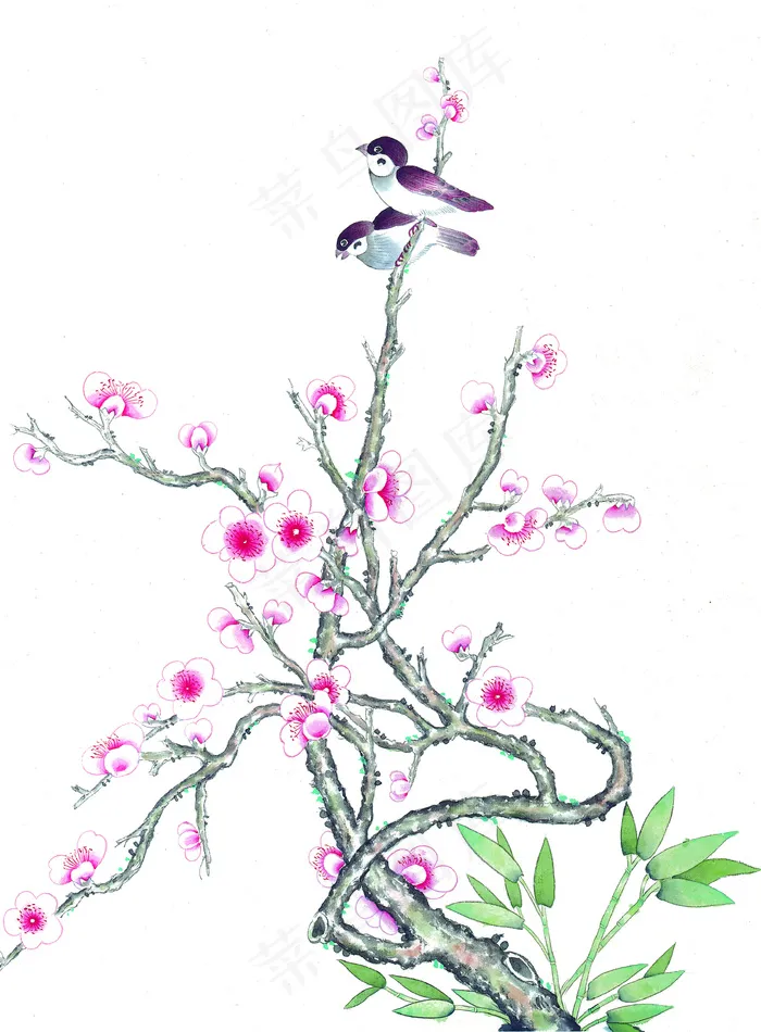 树枝花鸟
