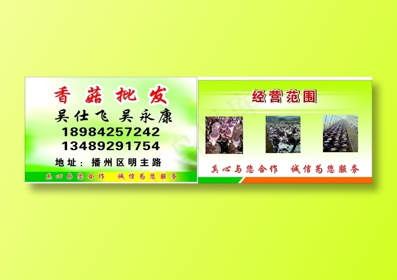 香菇批发cdr矢量模版下载