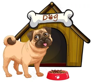 吃狗粮的斗牛犬图片 吃狗粮的斗牛犬图片