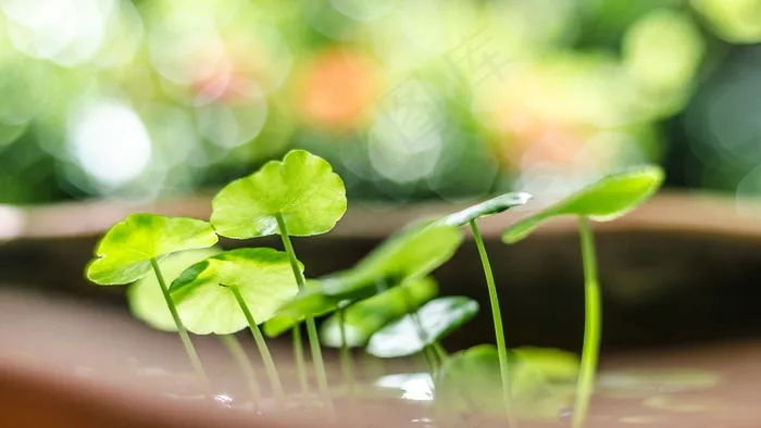 清新童年草图片