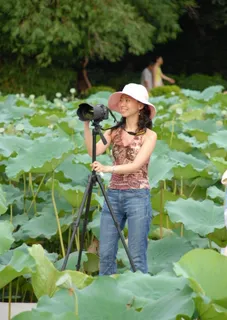 菏花池里拍照的女人图片