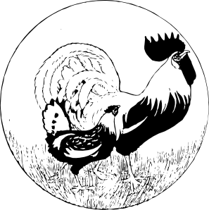 公鸡和母鸡的剪辑艺术