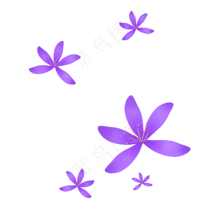 紫色浪漫唯美小花紫色浪漫唯美小花