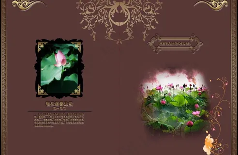 楼书封面分层素材图片