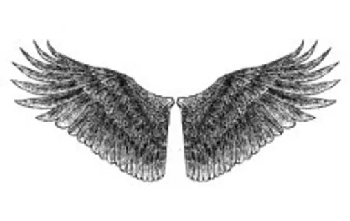 手绘的翅膀 手绘的翅膀