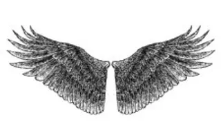 手绘的翅膀
