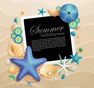 沙滩海洋生物矢量图片