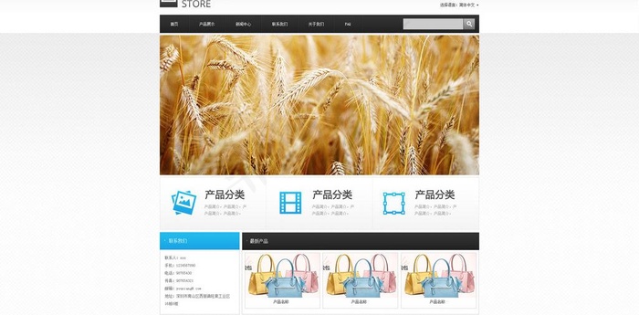 企业网站模板图片psd模版下载