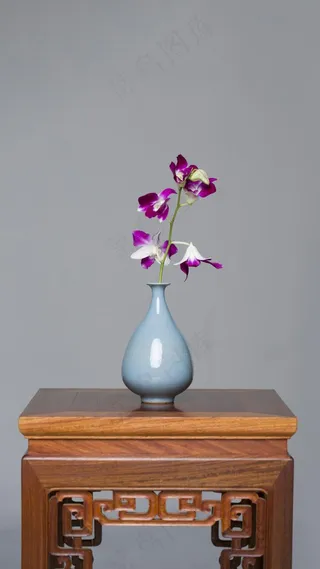 灰色调背景花瓶与花朵高清摄影图片