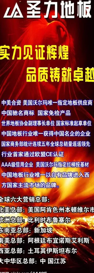 圣力地板x展架大气的背图片