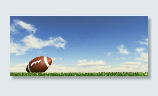 草地上的橄榄球图片 草地上的橄榄球图片