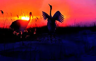 高清回忆录寿庆视频模板