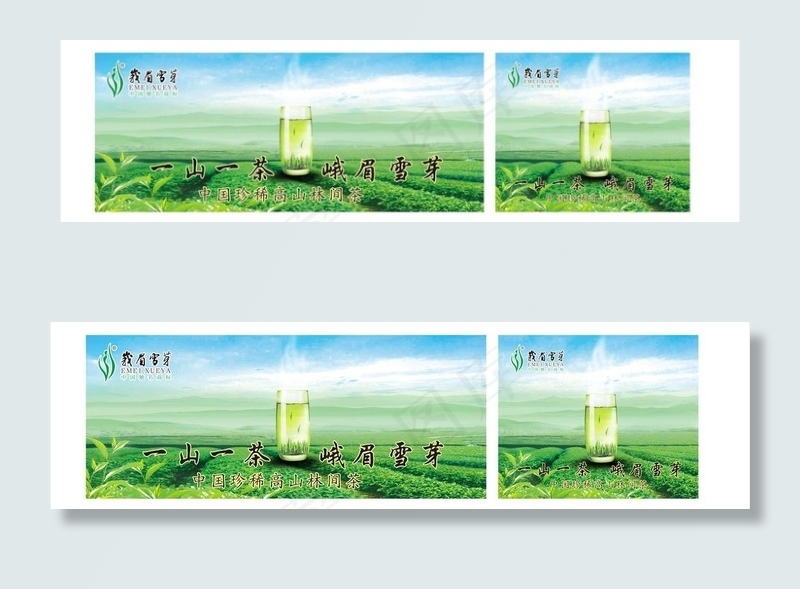 峨眉雪芽 茶图片