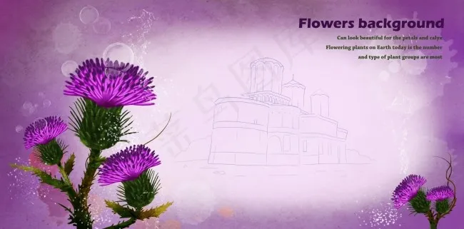 紫色唯美鲜花浪漫海报背景
