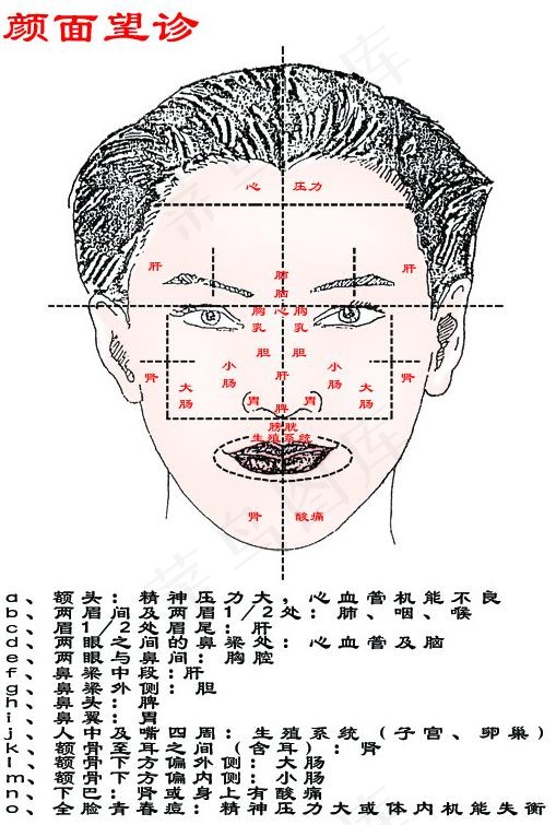 颜面望诊图片psd模版下载