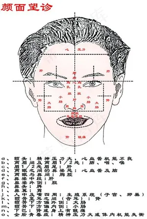 颜面望诊图片