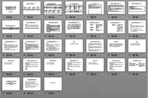 龙胜集团品牌整合策略及方向ppt