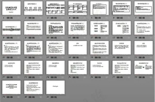 龙胜集团品牌整合策略及方向ppt