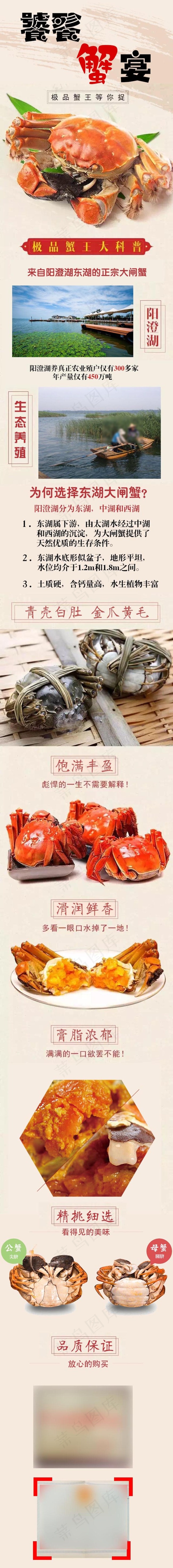 大闸蟹详情页图片psd模版下载