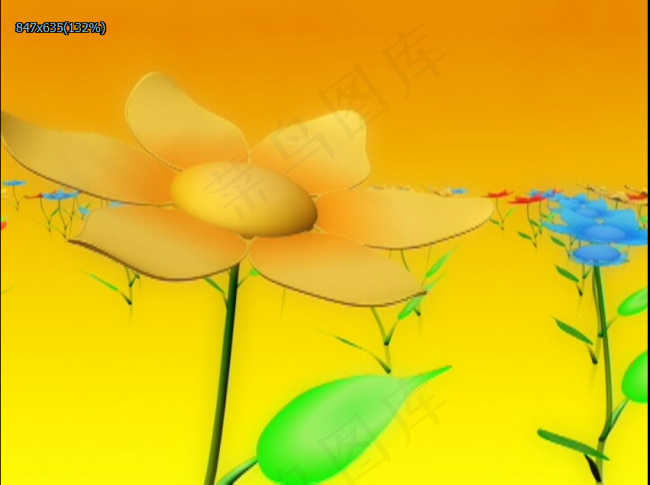 黄花花瓣动态视频