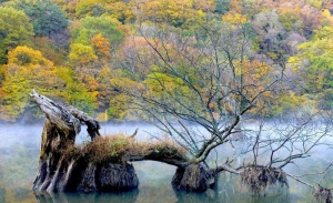 风景画图片