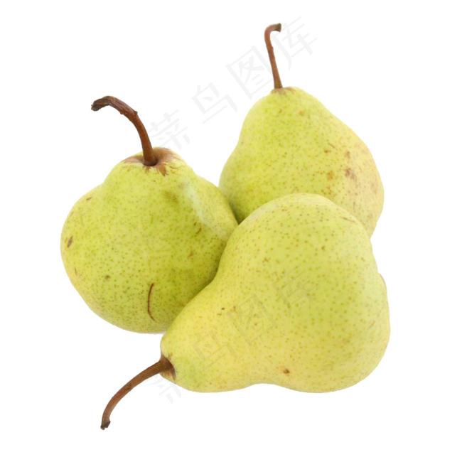 梨子素材