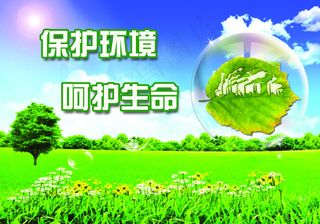 保护环境呵护生命