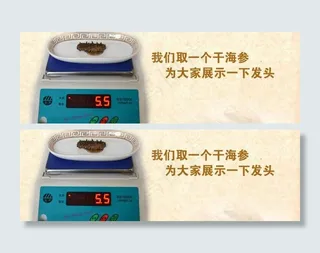 海参淘宝海报图片