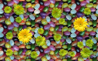 3D彩色鹅卵石地砖菊花鹅卵石背景墙