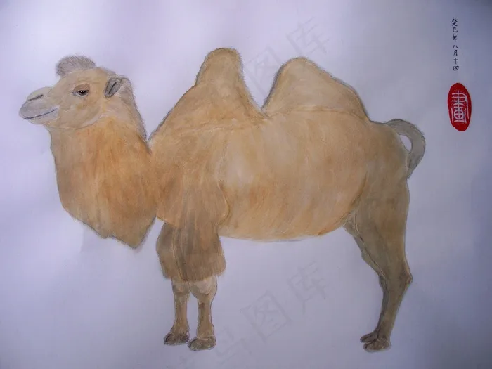 水粉画 骆驼 国画图片