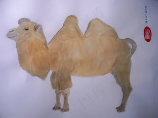 水粉画 骆驼 国画图片