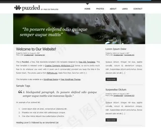 国外洁白简洁网站模版