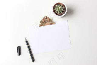 简约小清新文艺风插花静物摆拍背景