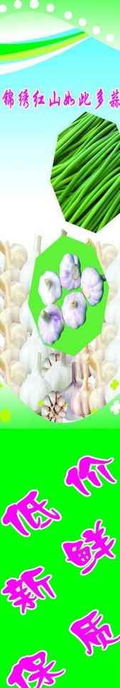 水果图片(210X297)cdr矢量模版下载