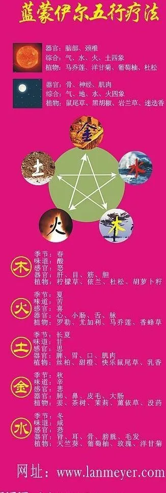 中医五行x展架图片cdr矢量模版下载