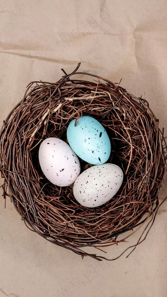 鸟蛋高清摄影图片