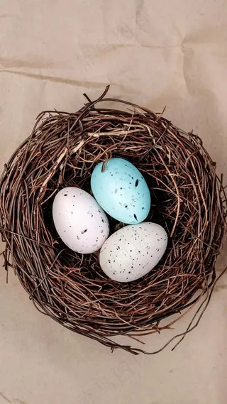 鸟蛋高清摄影图片