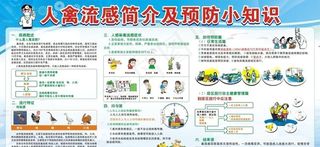 H7N9禽流感宣传广告设计模板